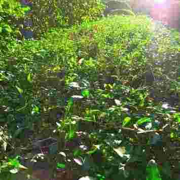 就是，愛這陽光明媚的模樣。